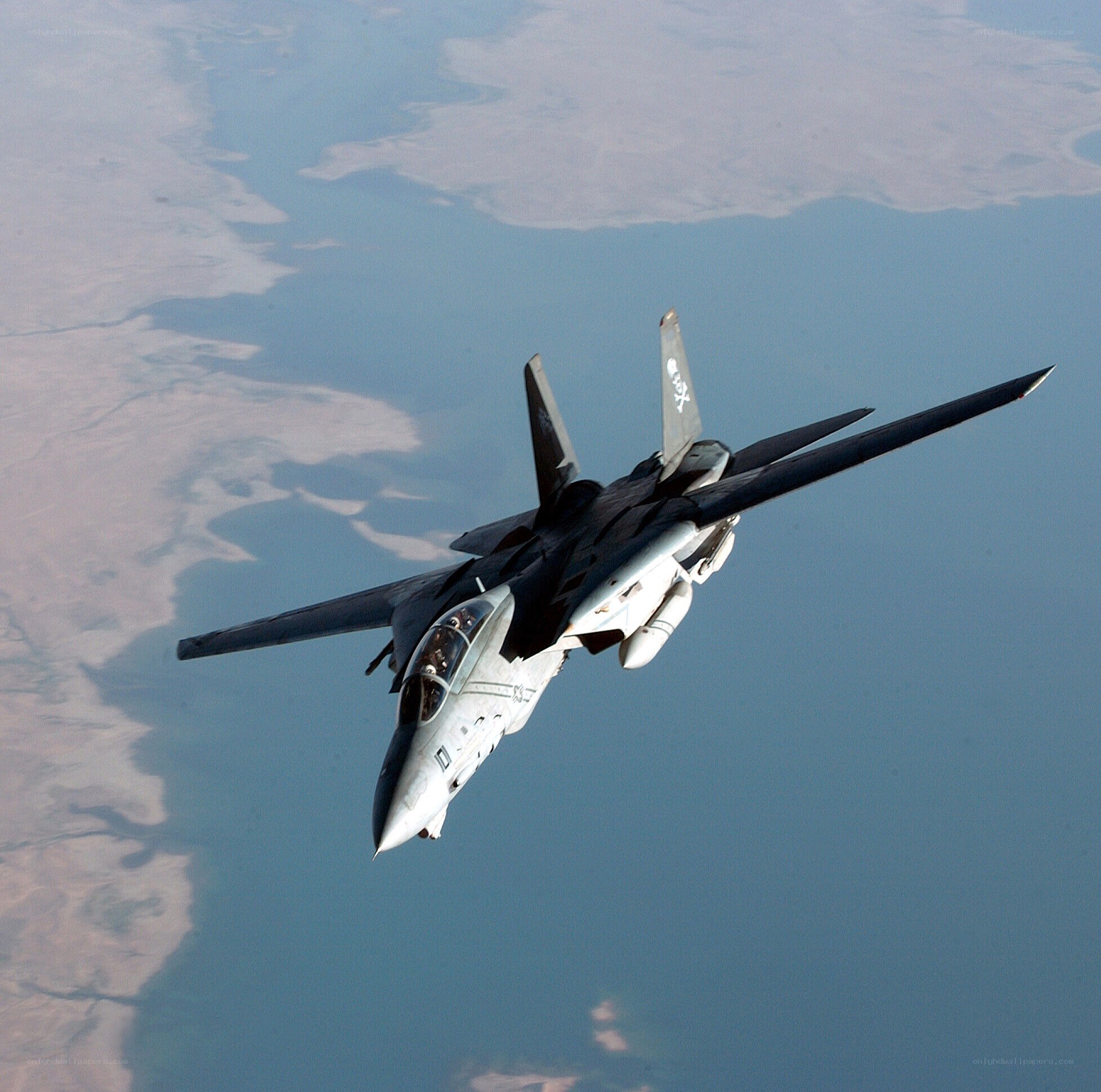 F-14 Tomcat in flight