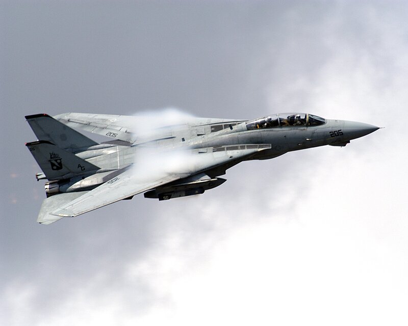 F-14 Tomcat in flight