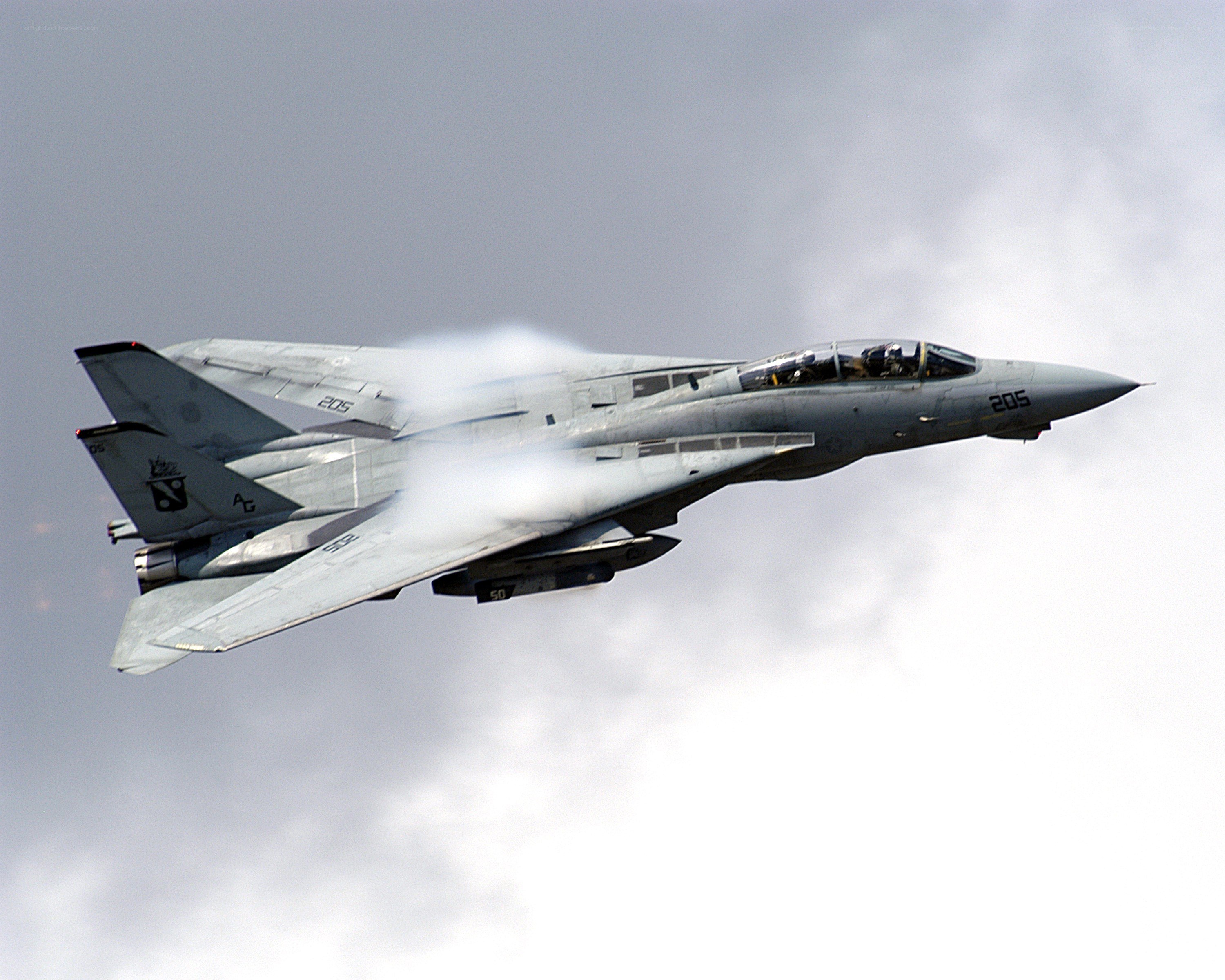F-14 Tomcat in flight