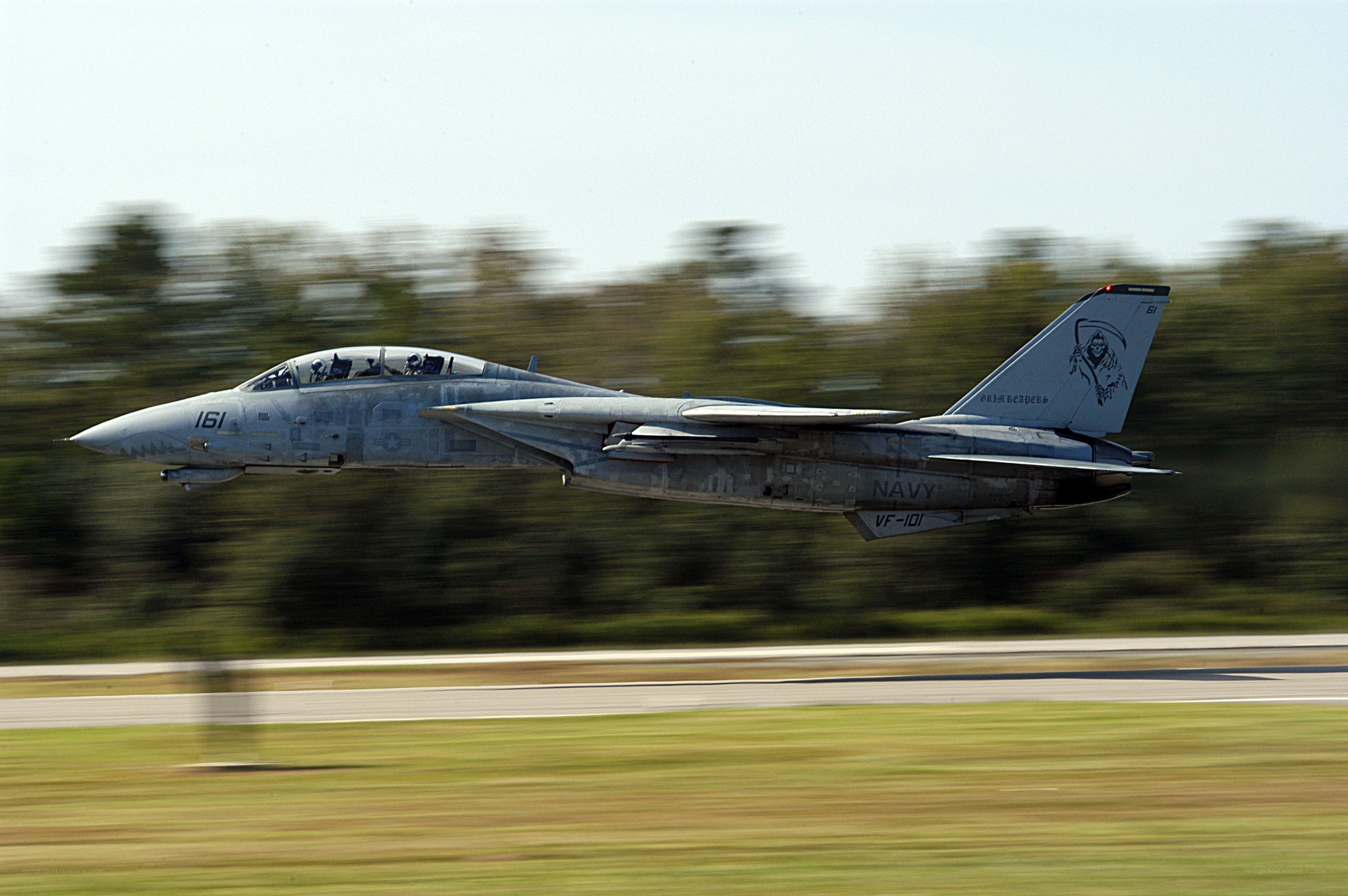 F-14 Tomcat in flight
