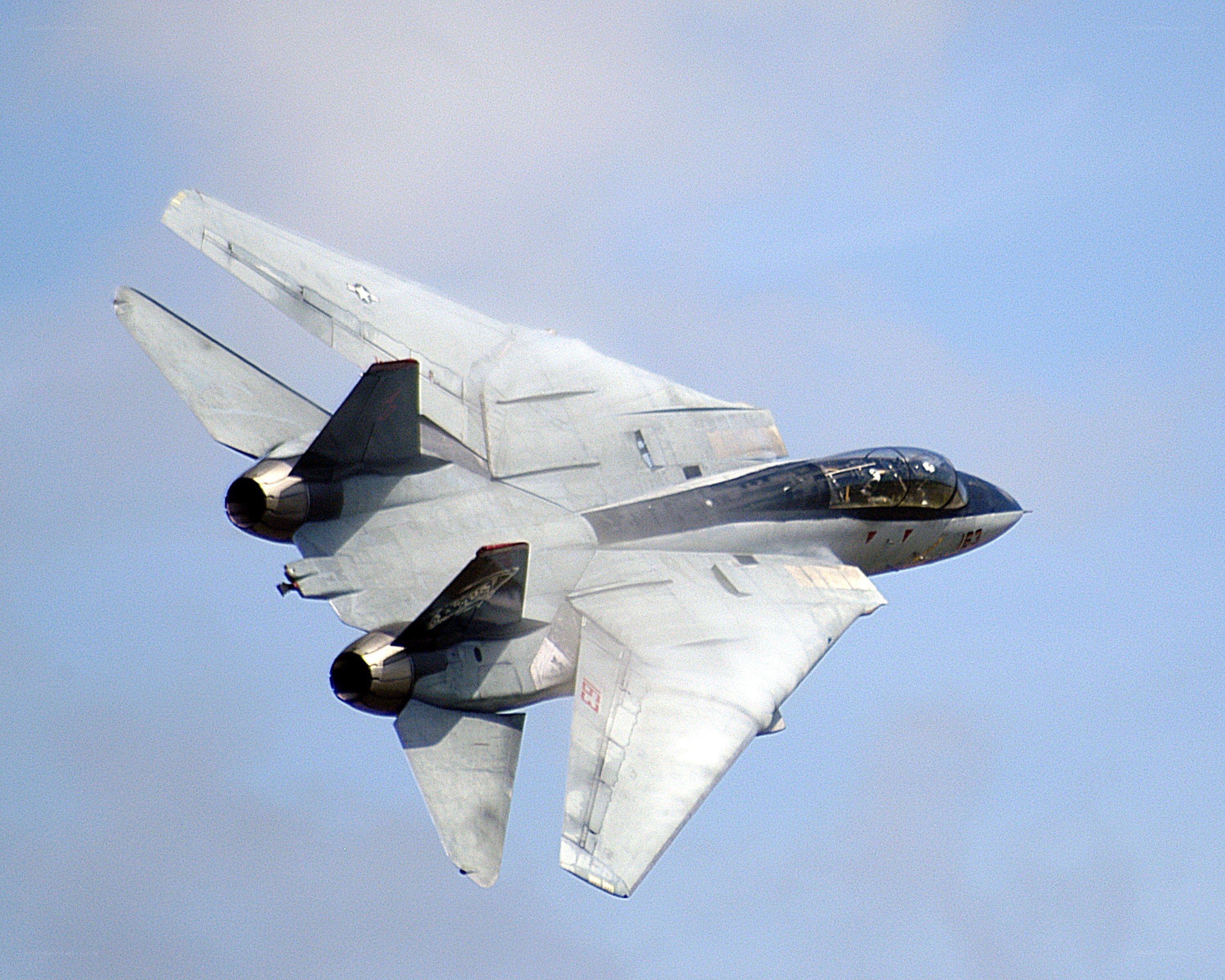 F-14 Tomcat in flight