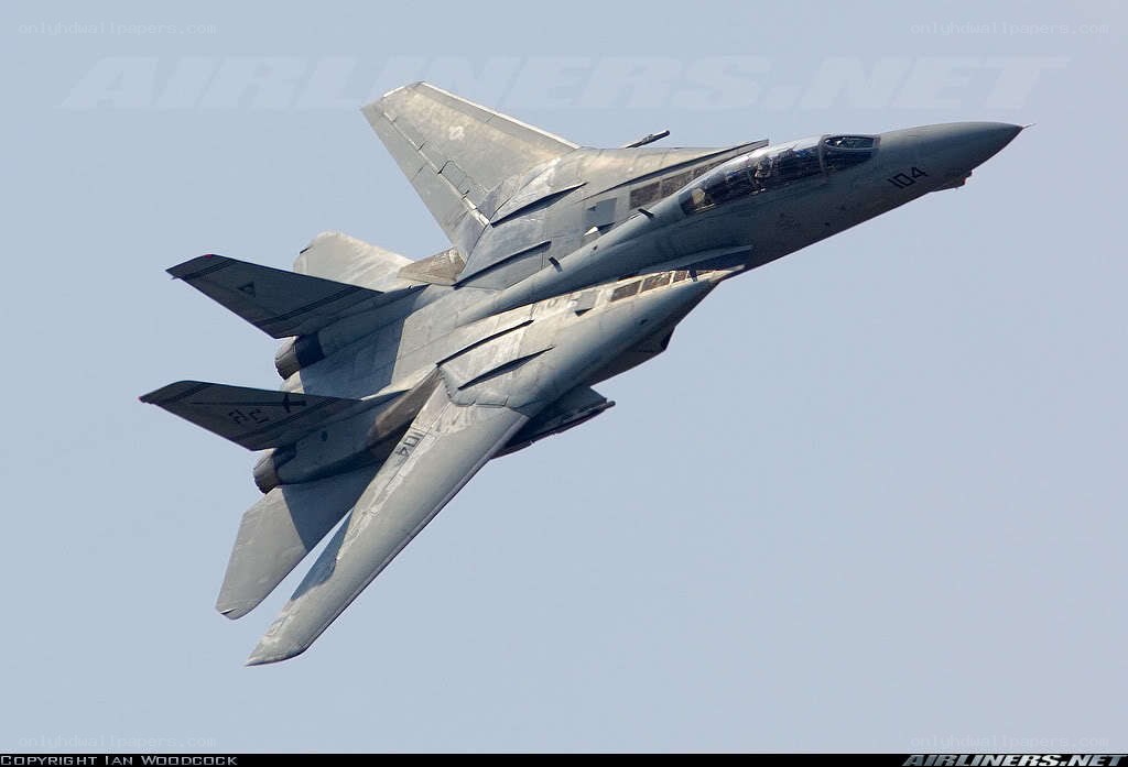 F-14 Tomcat in flight