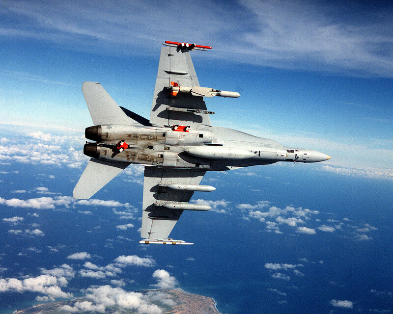 F-14 Tomcat in flight