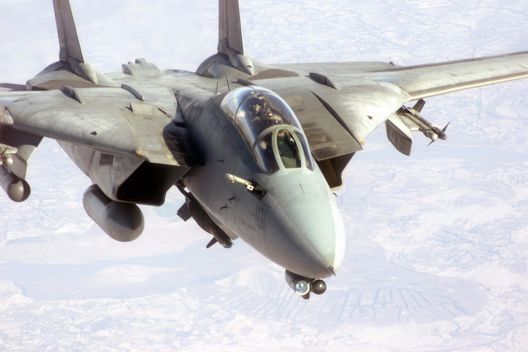 F-14 Tomcat in flight