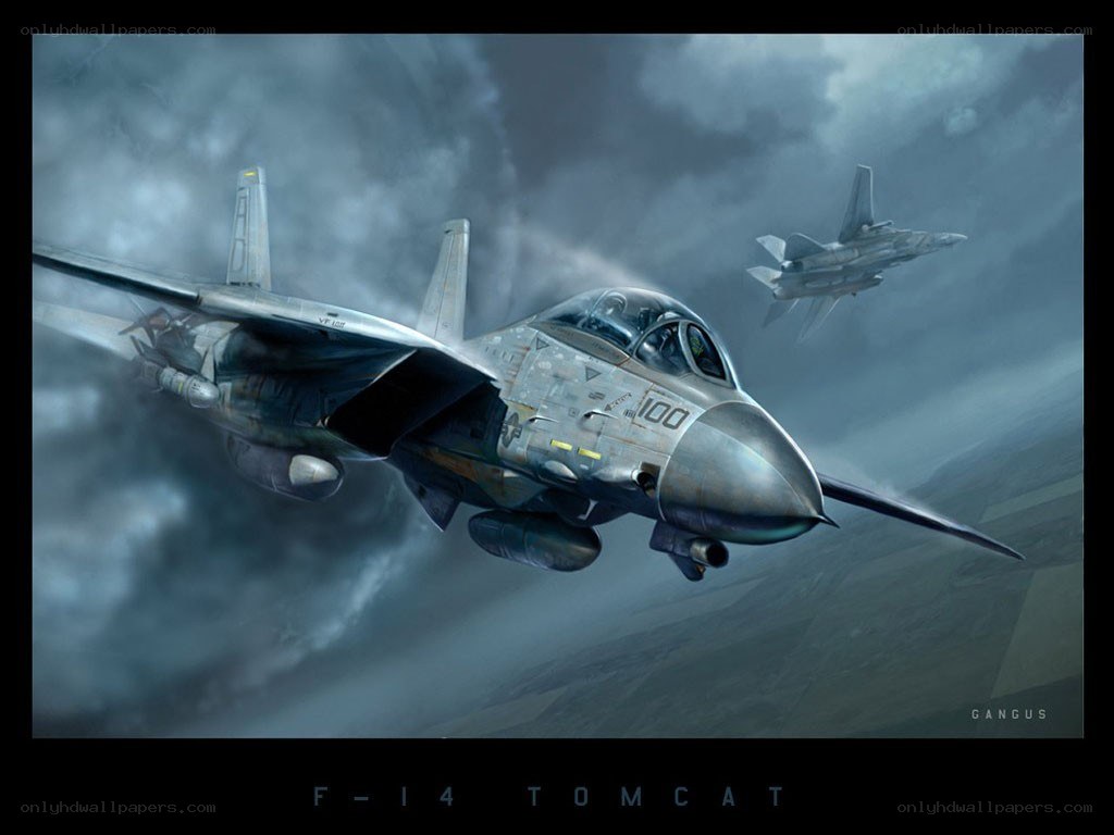 F-14 Tomcat in flight