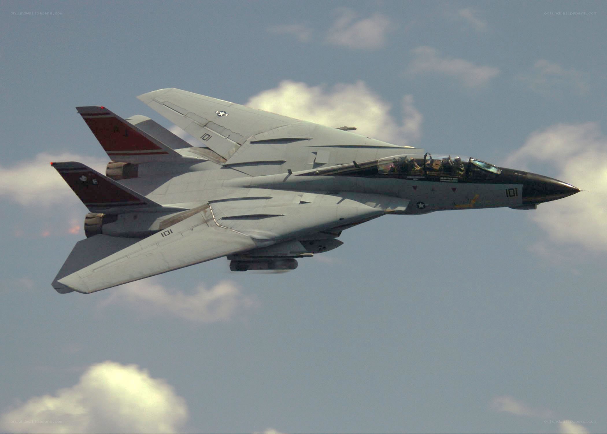 F-14 Tomcat in flight