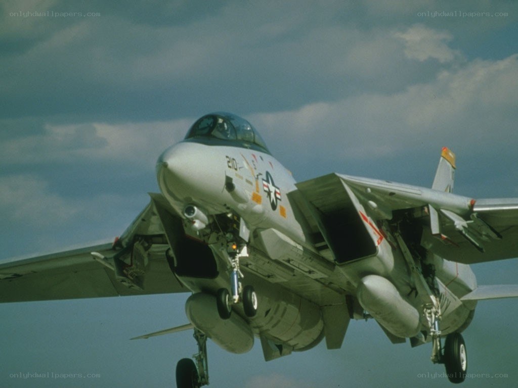F-14 Tomcat in flight