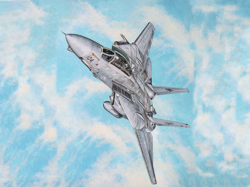 F-14 Tomcat in flight
