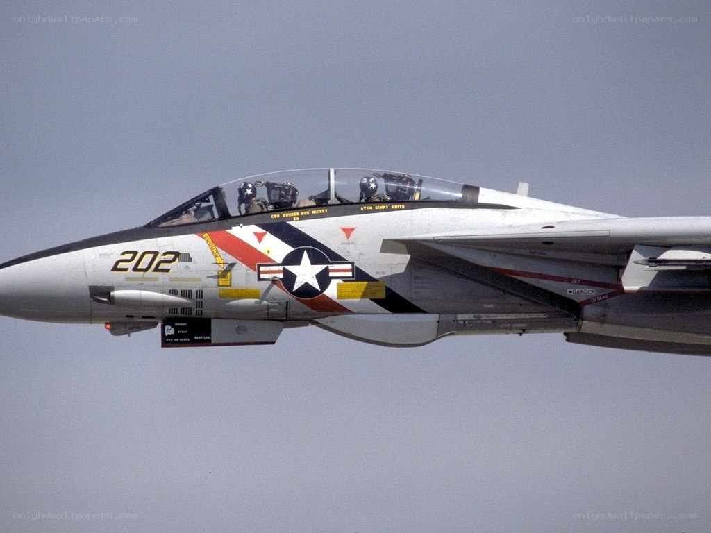 F-14 Tomcat in flight