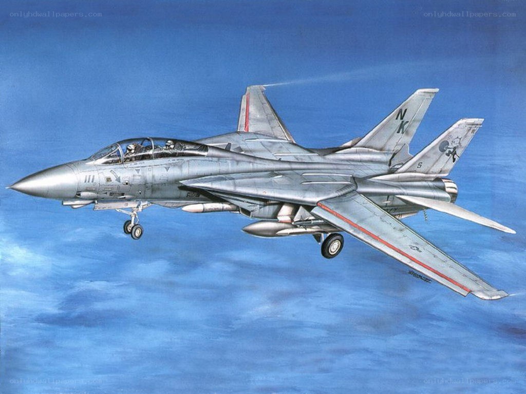 F-14 Tomcat in flight