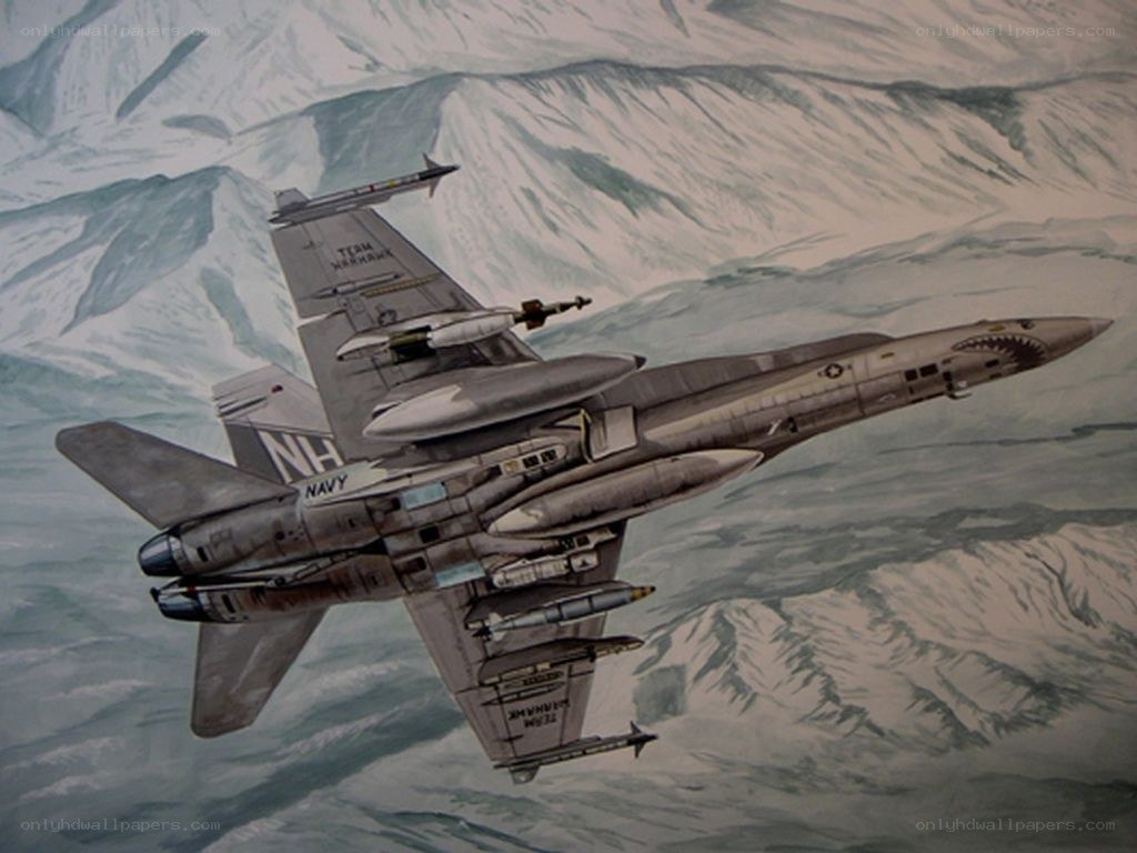 F-14 Tomcat in flight