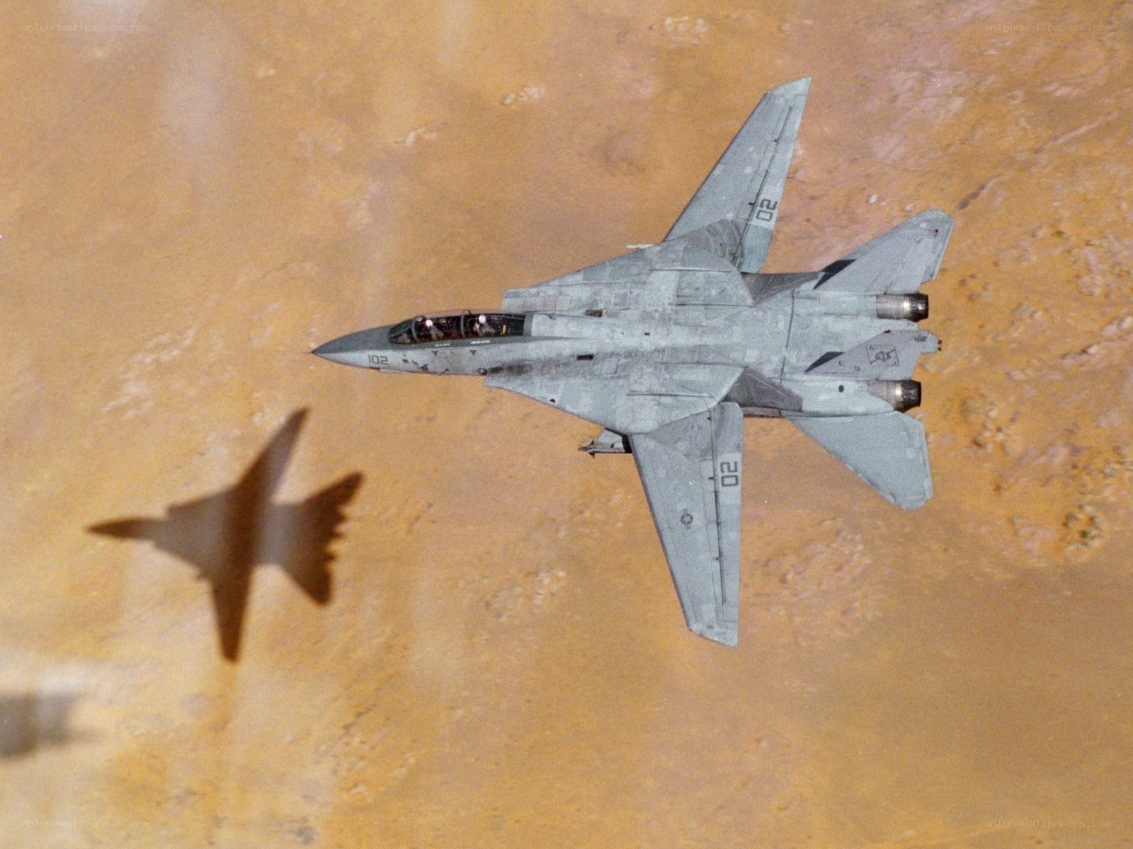F-14 Tomcat in flight