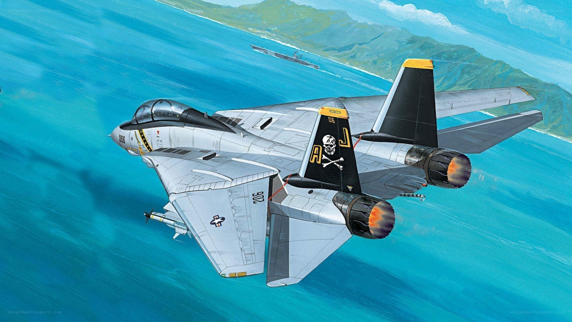 F-14 Tomcat in flight