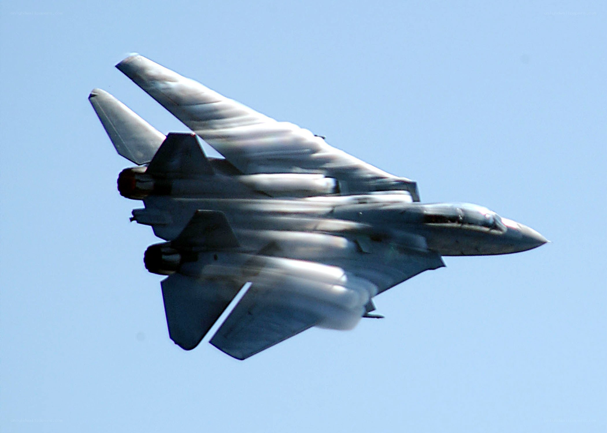 F-14 Tomcat in flight