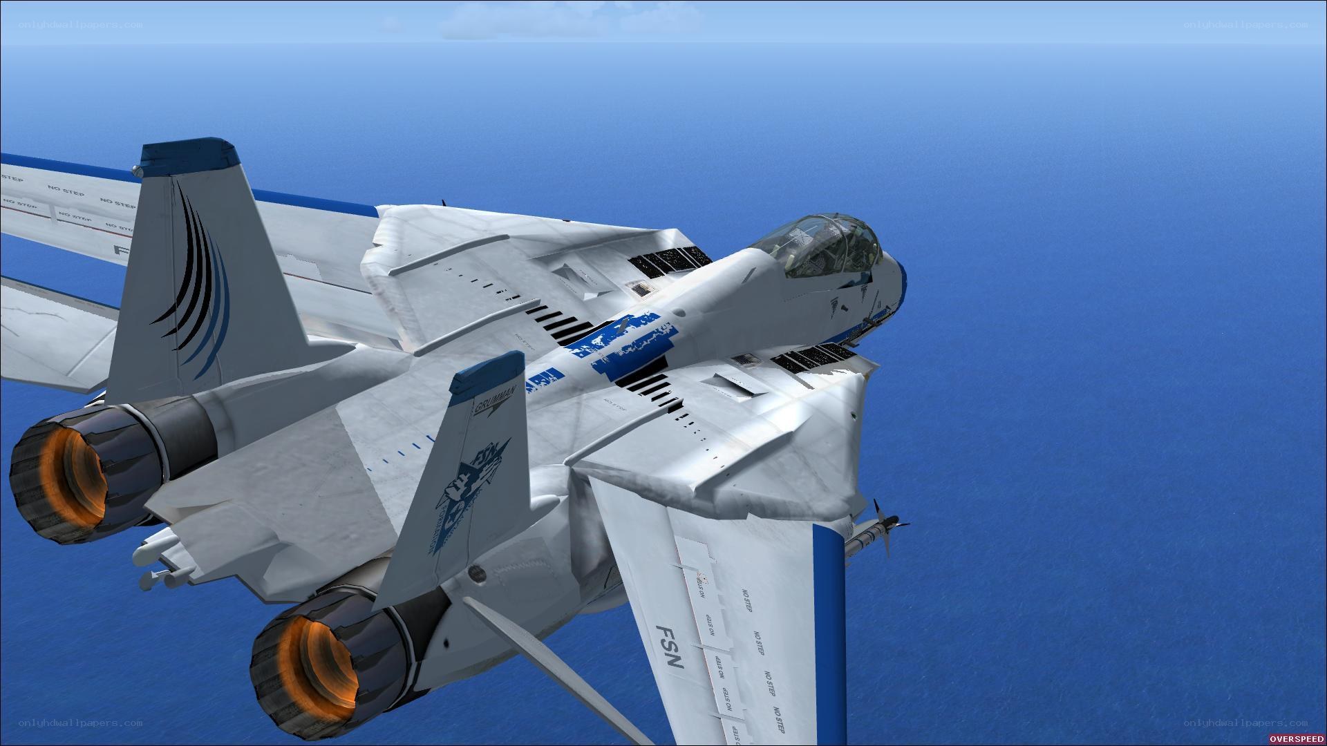 F-14 Tomcat in flight