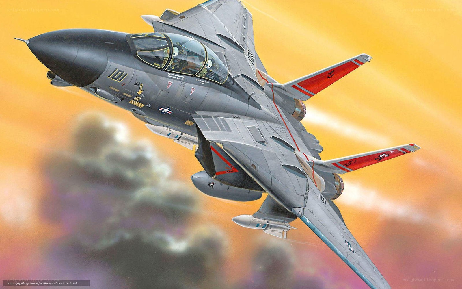 F-14 Tomcat in flight