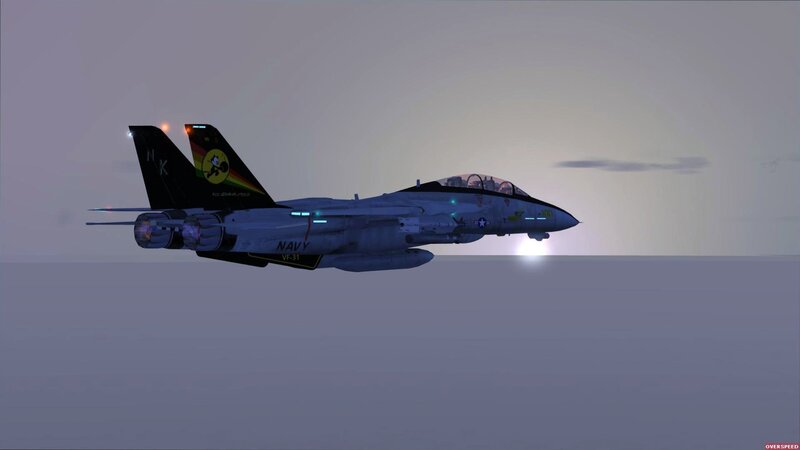 F-14 Tomcat in flight