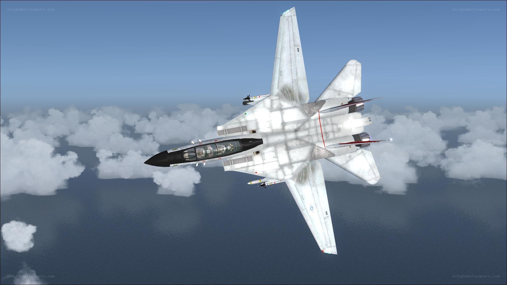 F-14 Tomcat in flight