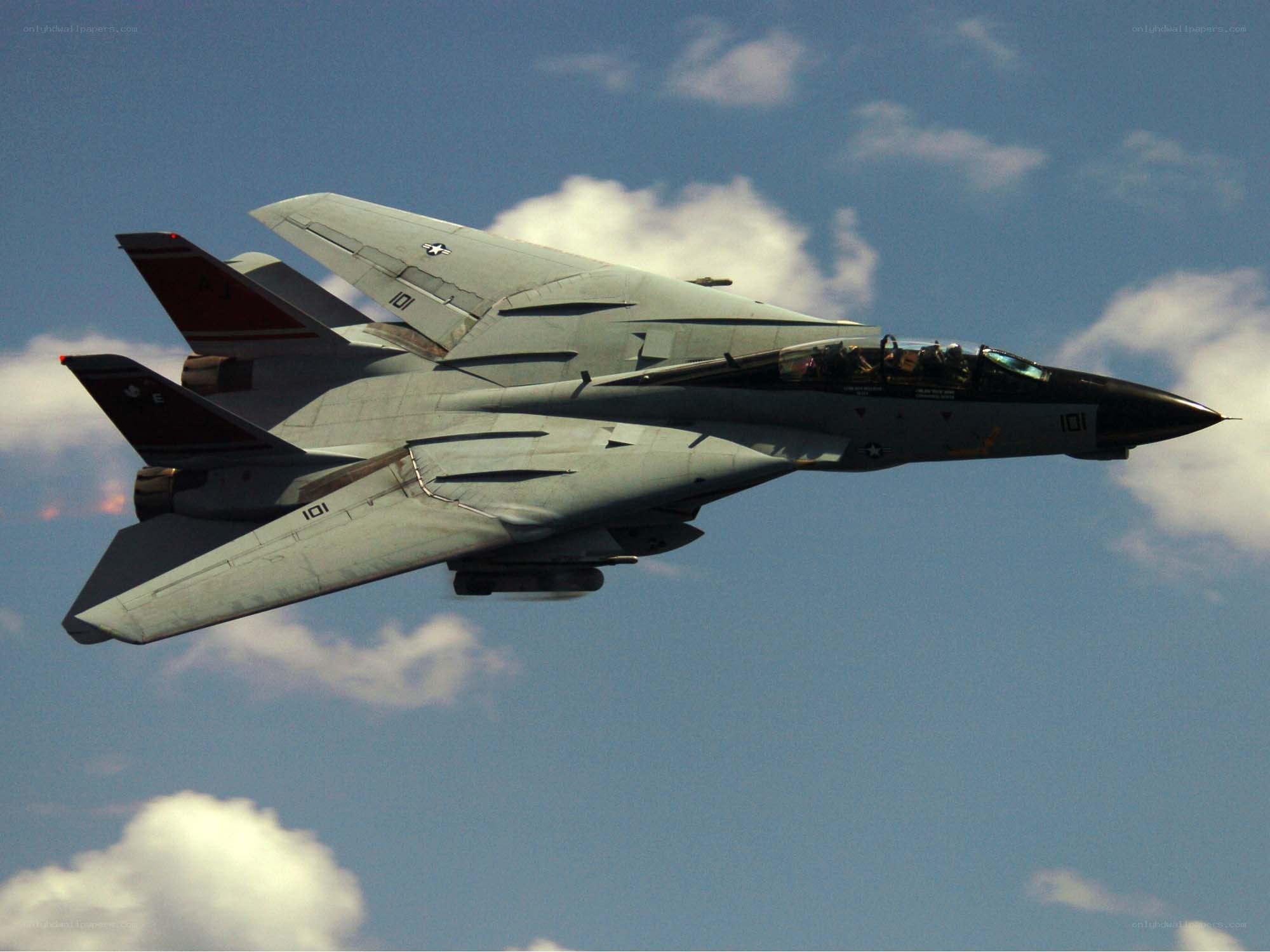 F-14 Tomcat in flight