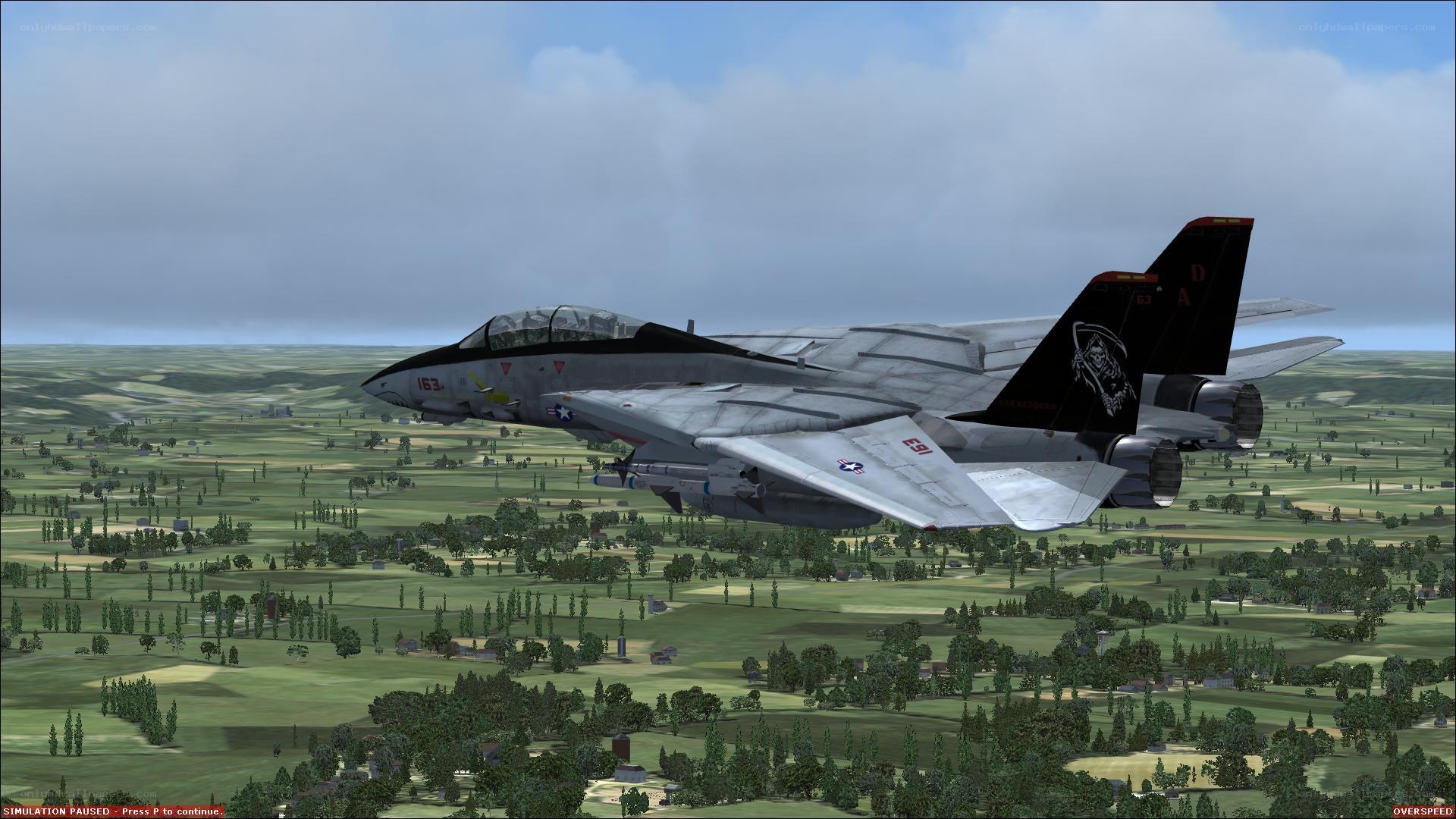 F-14 Tomcat in flight