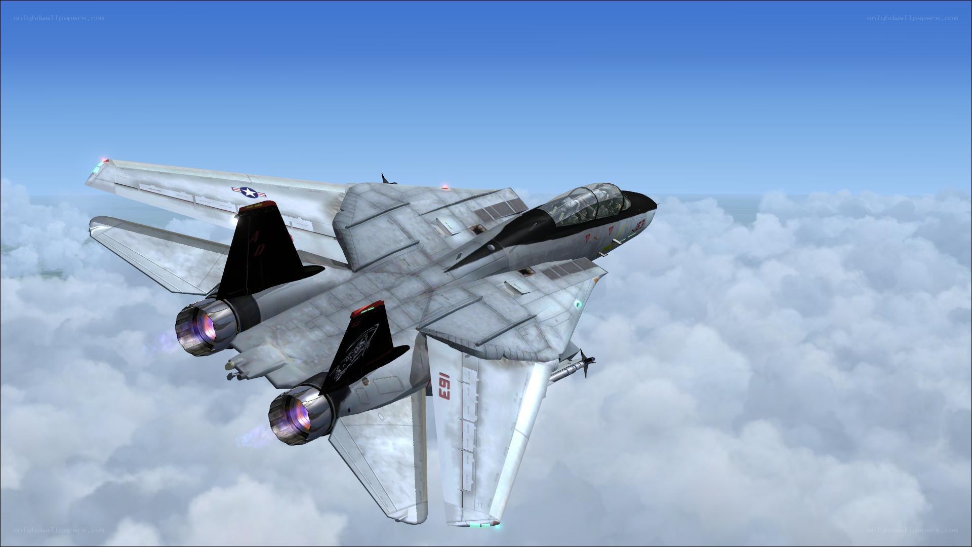 F-14 Tomcat in flight
