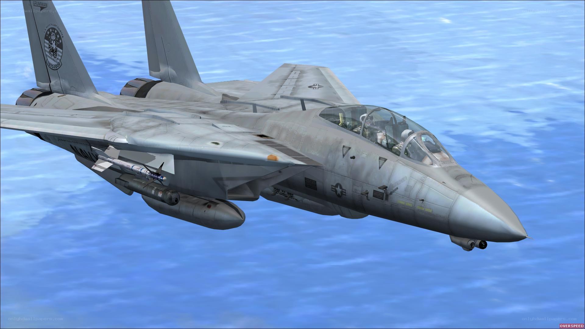 F-14 Tomcat in flight