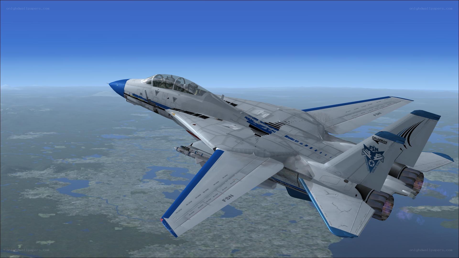 F-14 Tomcat in flight