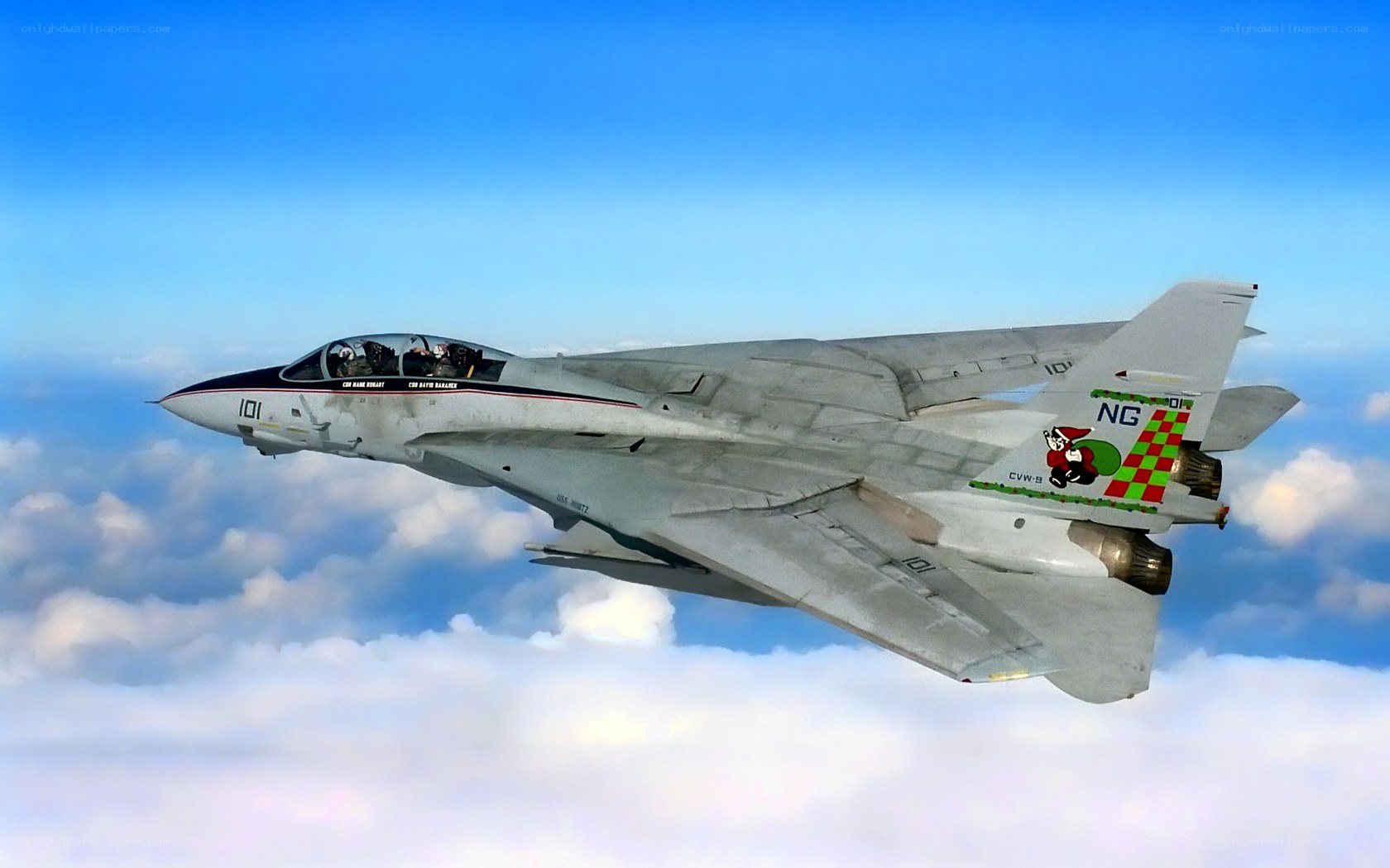 F-14 Tomcat in flight