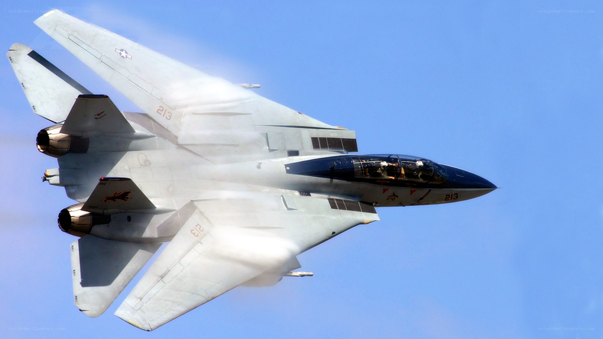 F-14 Tomcat in flight