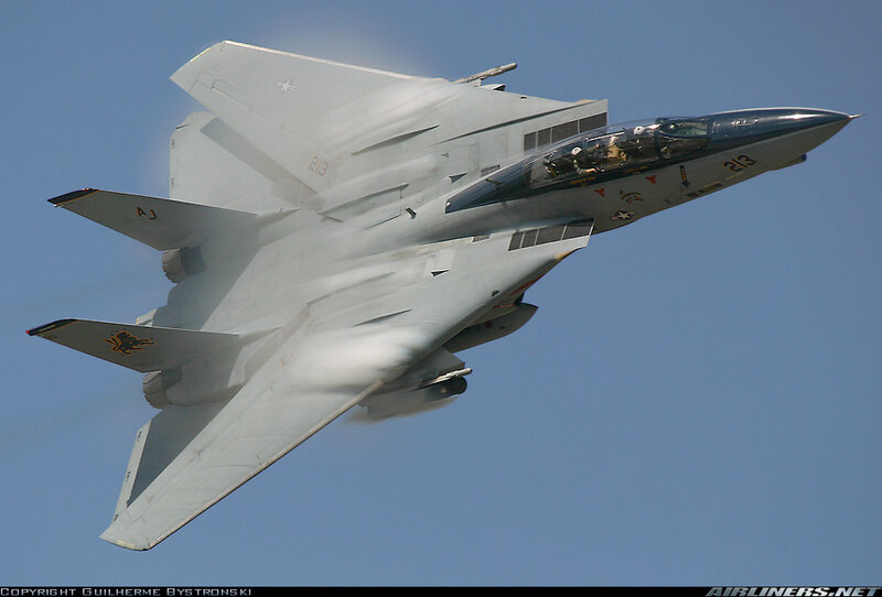 F-14 Tomcat in flight