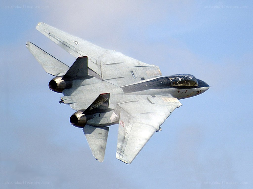 F-14 Tomcat in flight