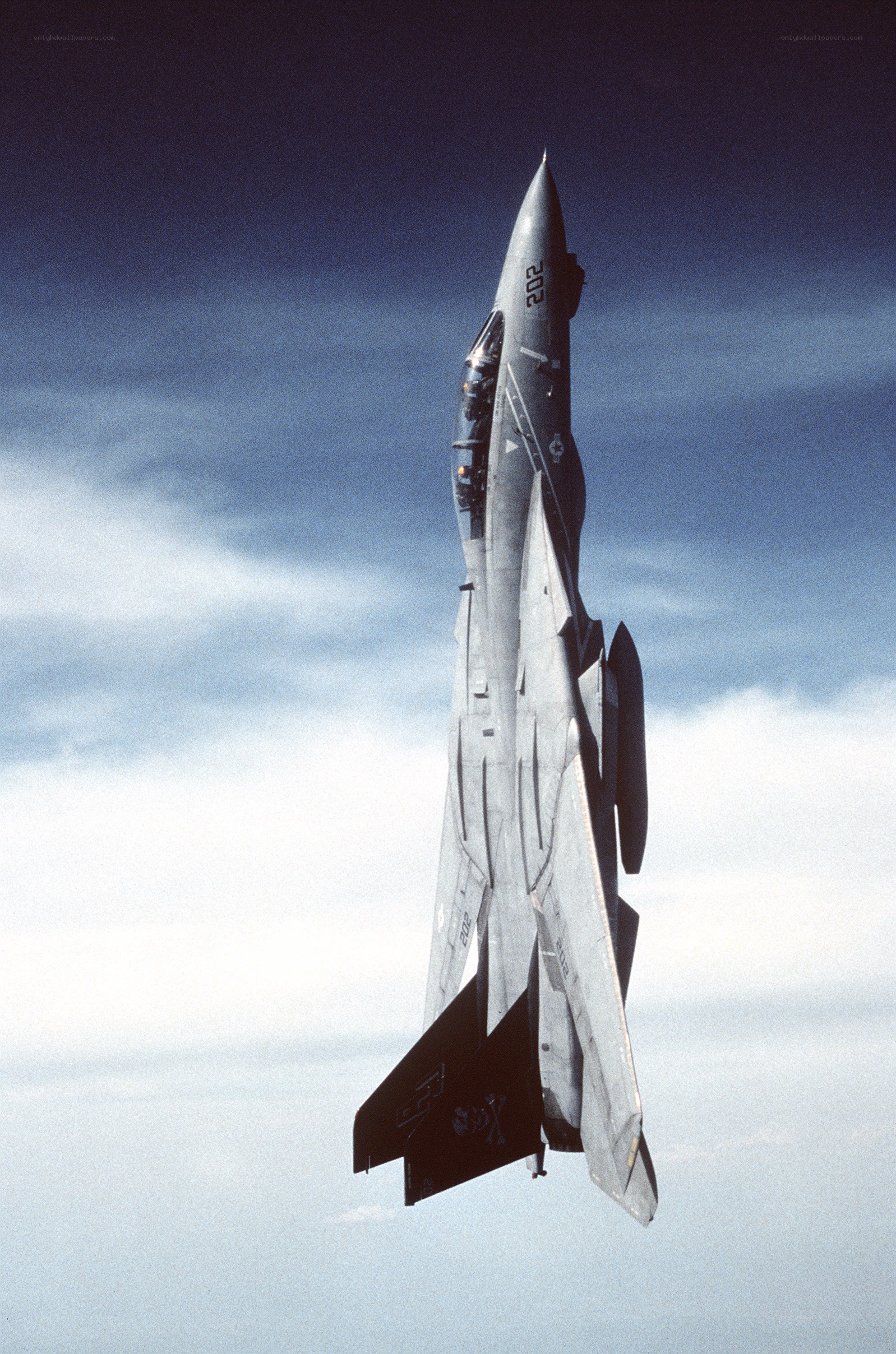 F-14 Tomcat in flight