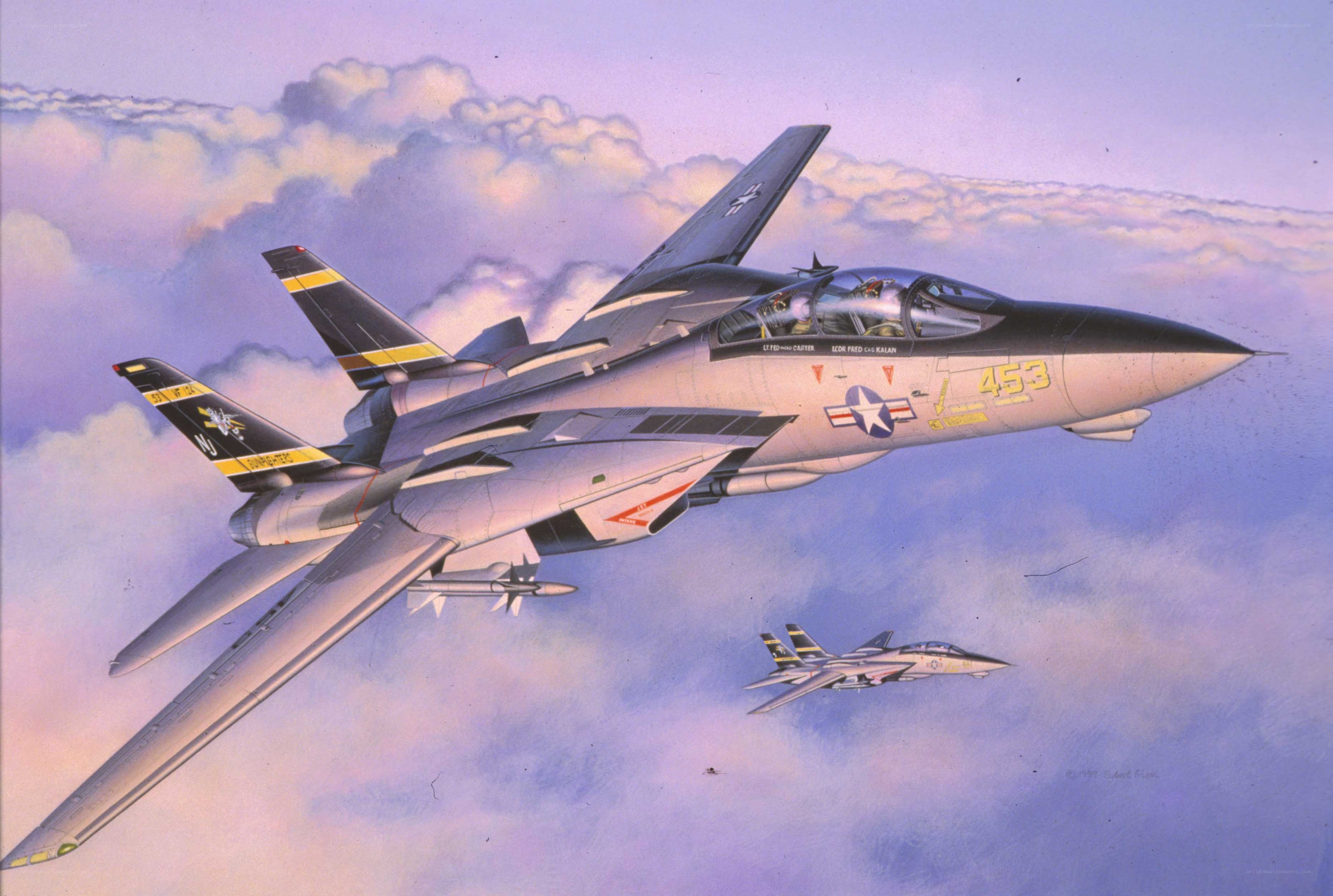 F-14 Tomcat in flight