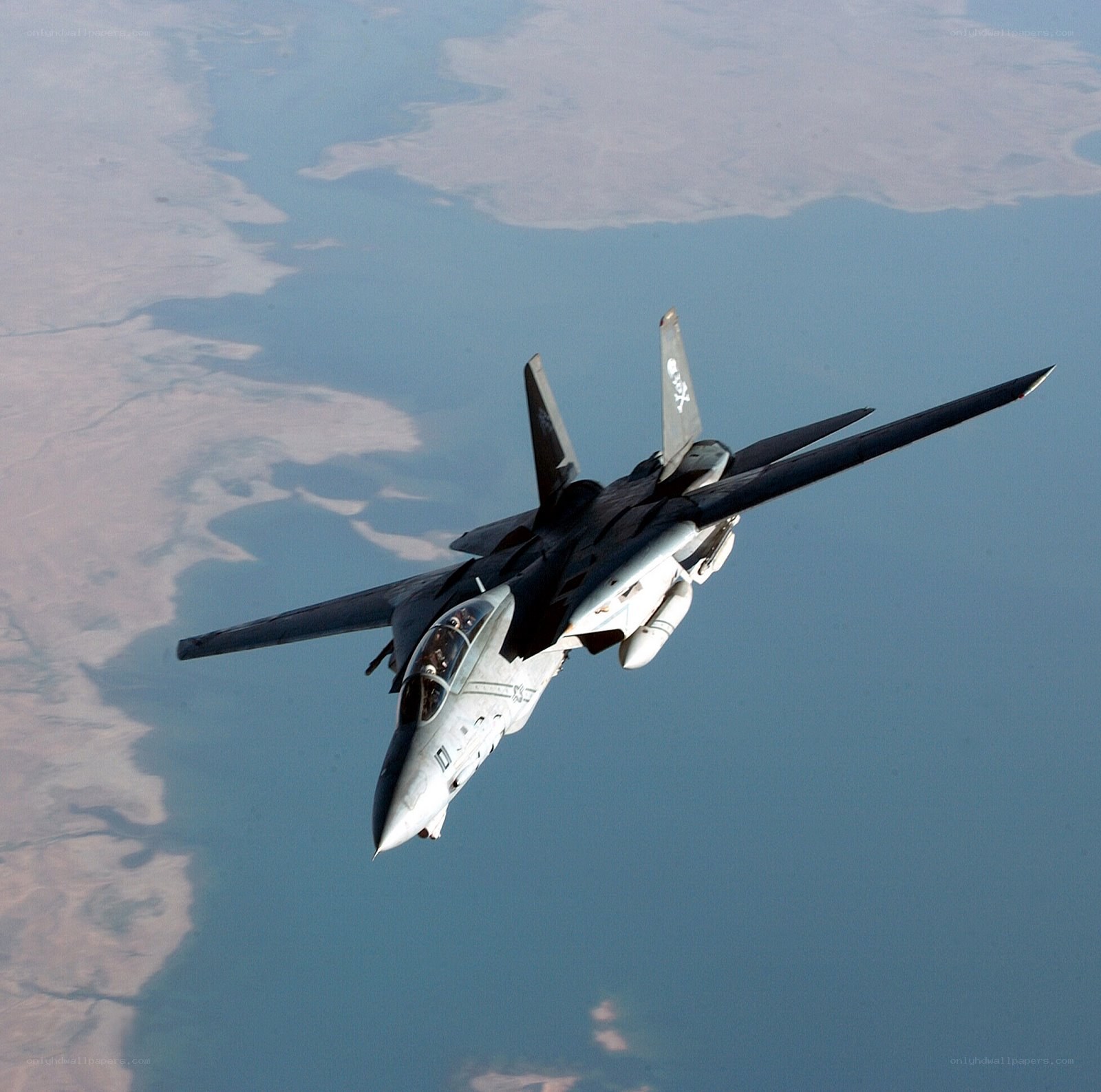 F-14 Tomcat in flight