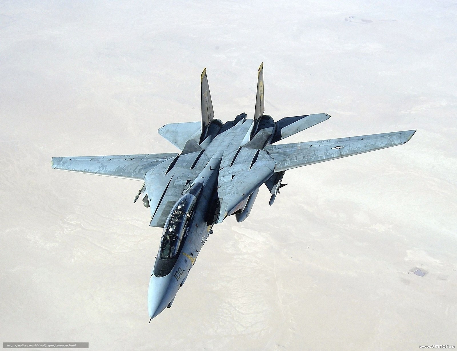 F-14 Tomcat in flight