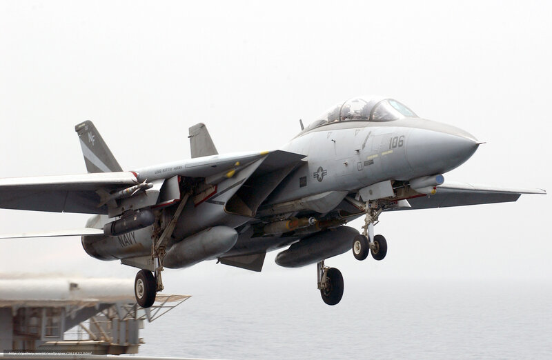 F-14 Tomcat Jet — Gray, Dramatic