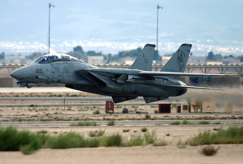 F-14 Tomcat Jet — Gray, Dynamic