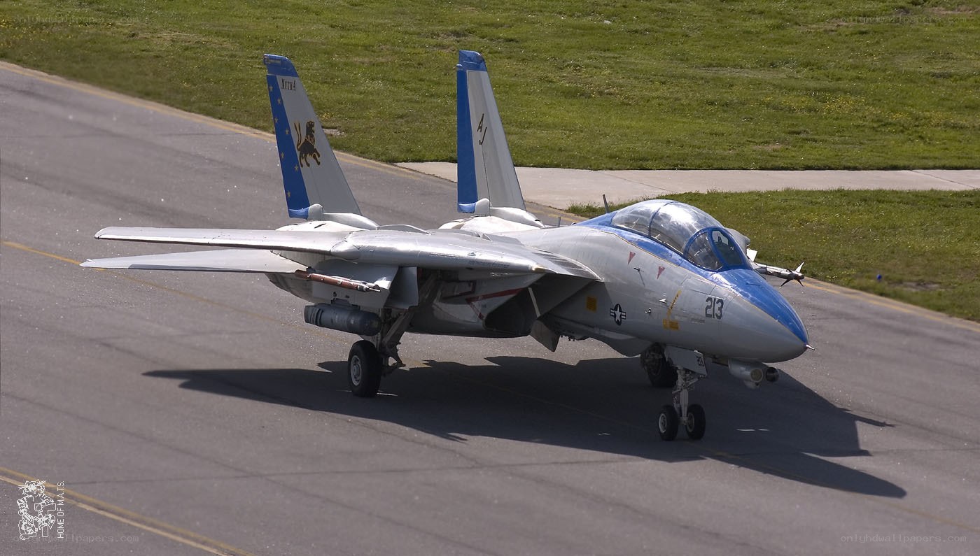 F-14 Tomcat on runway