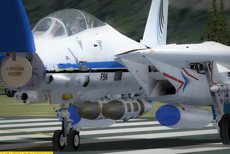 F-14 Tomcat on the runway
