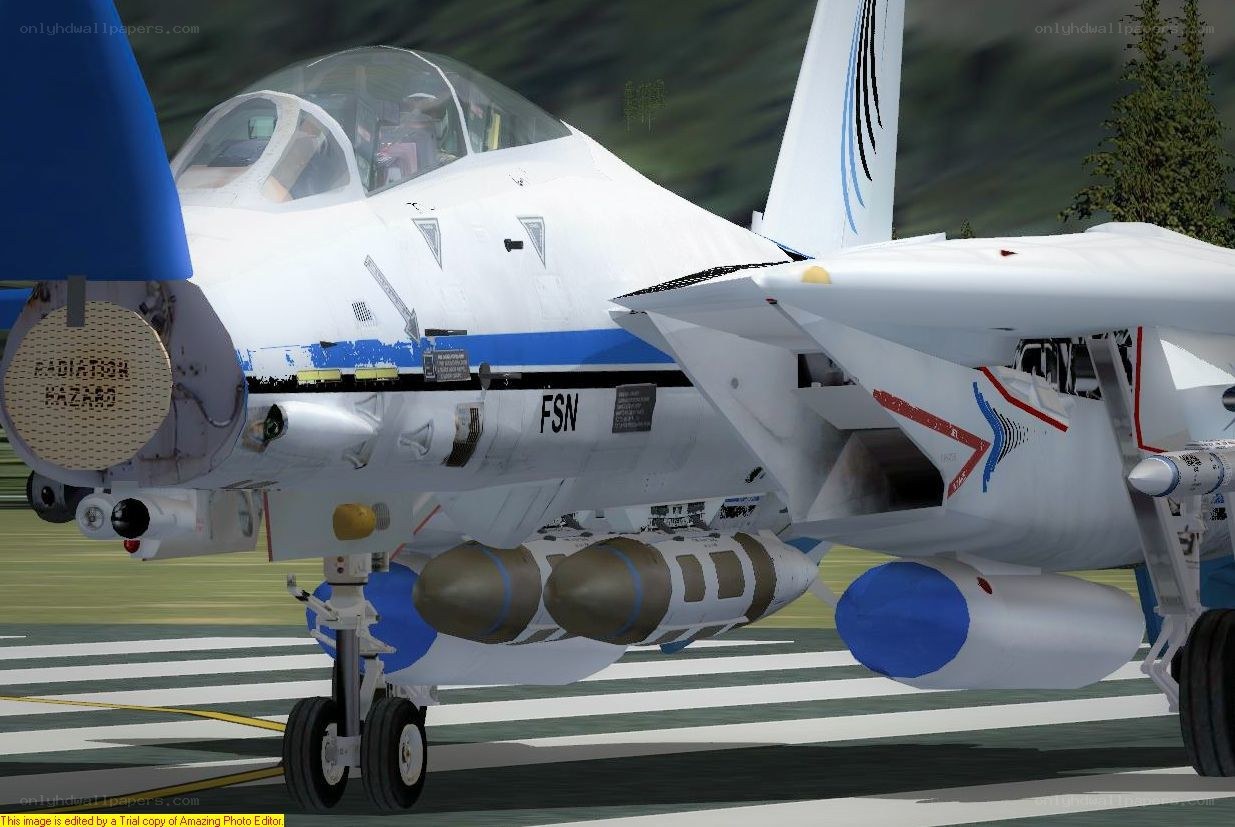 F-14 Tomcat on the runway