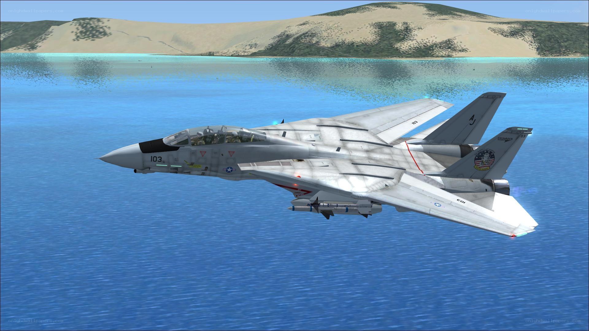 F-14 Tomcat over ocean