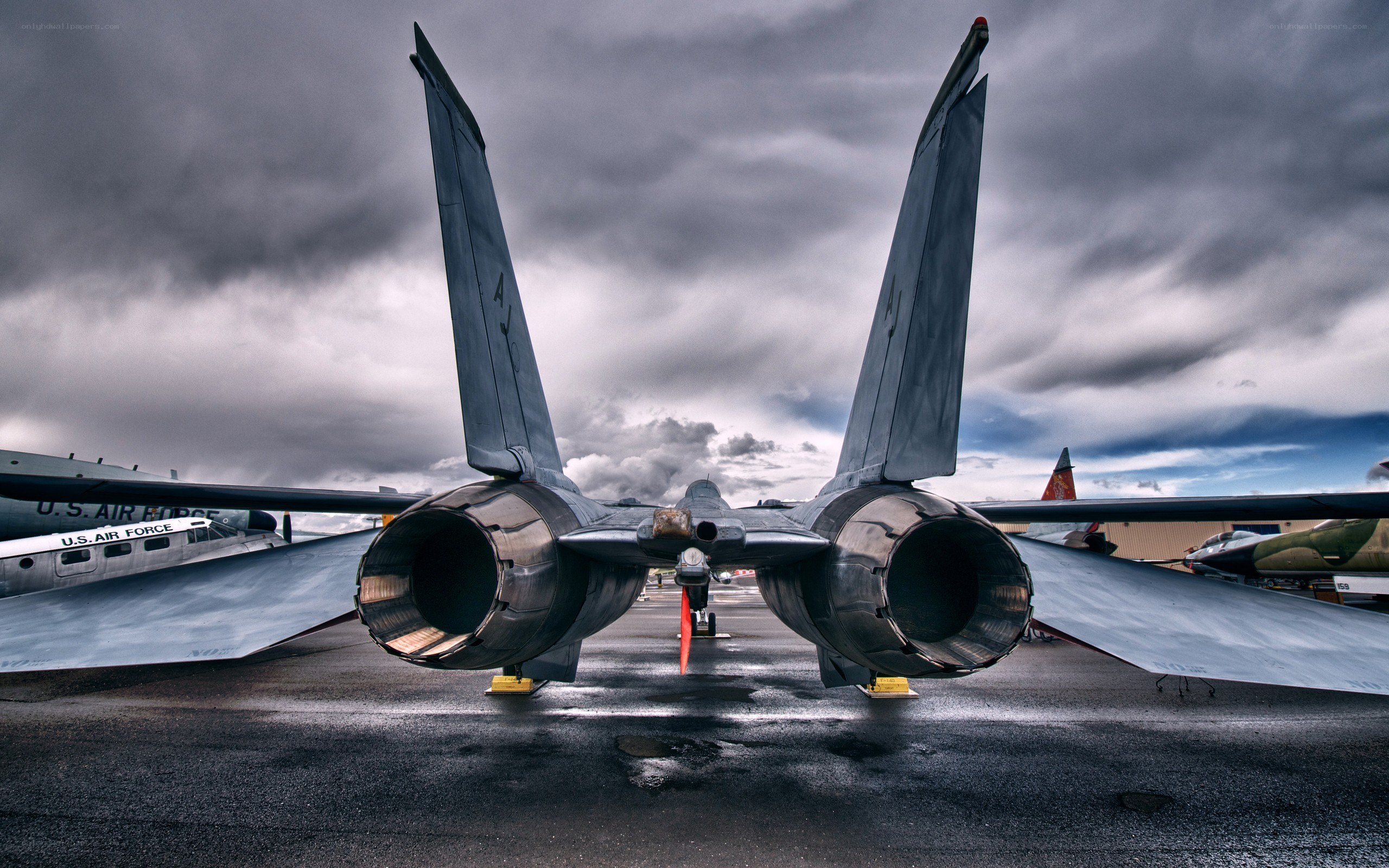 F-14 Tomcat rear view