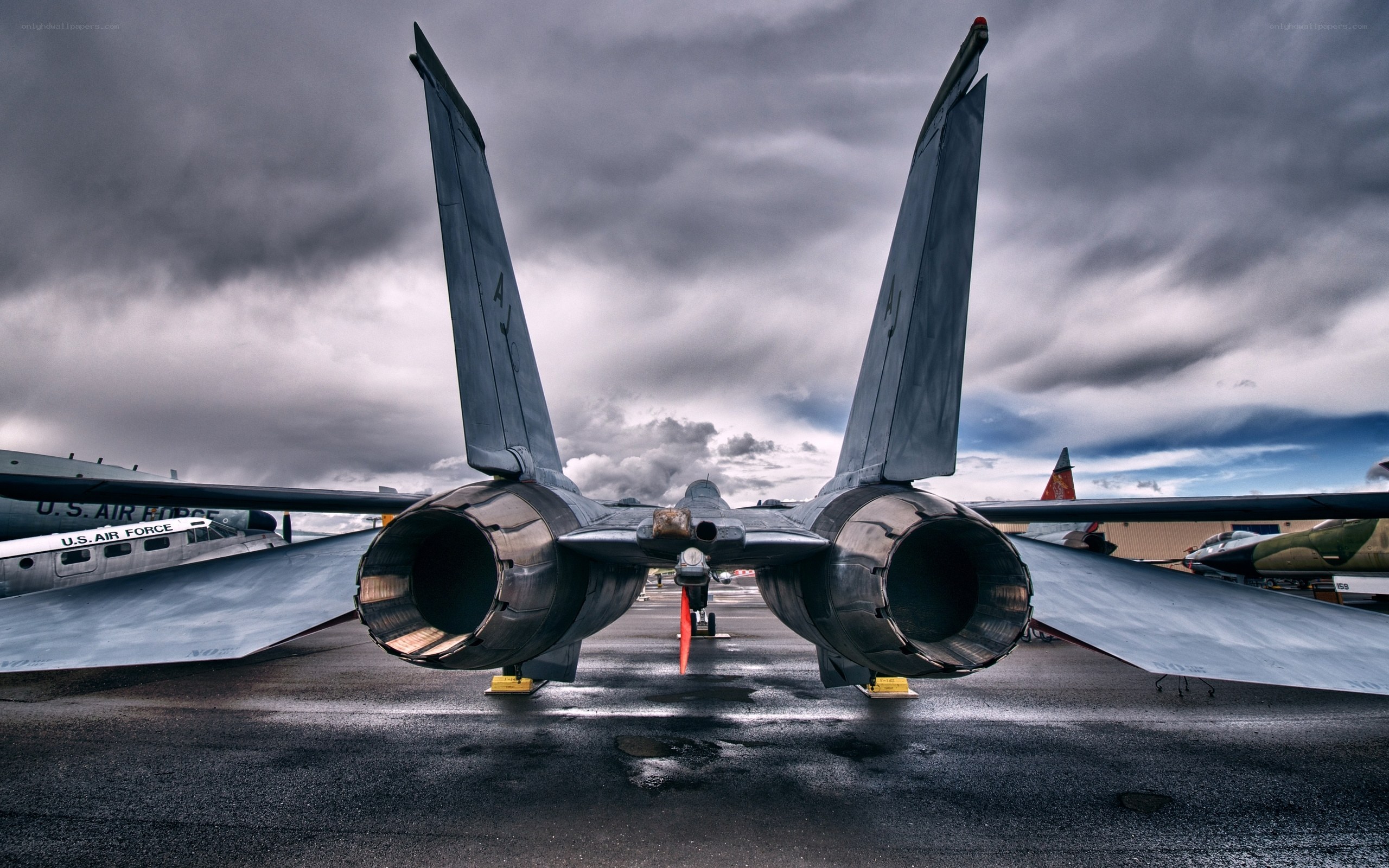 F-14 Tomcat rear view