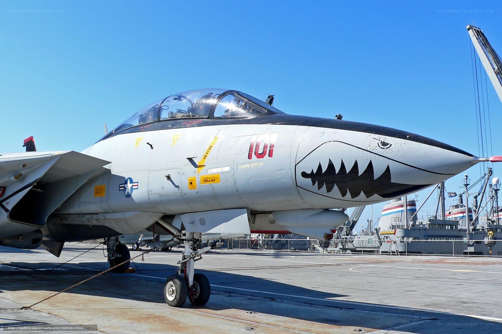 F-14 Tomcat with shark mouth