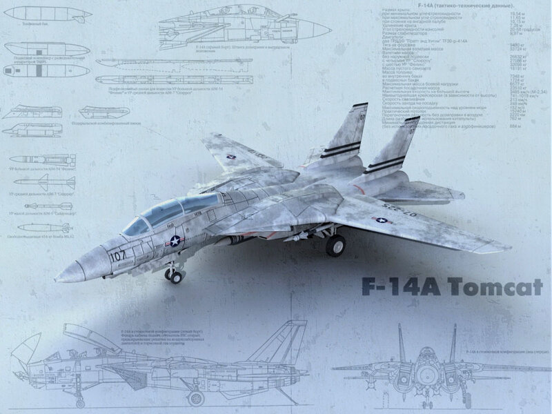 F-14A Tomcat technical diagram