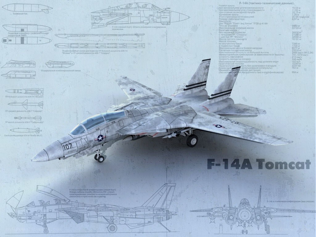 F-14A Tomcat technical diagram