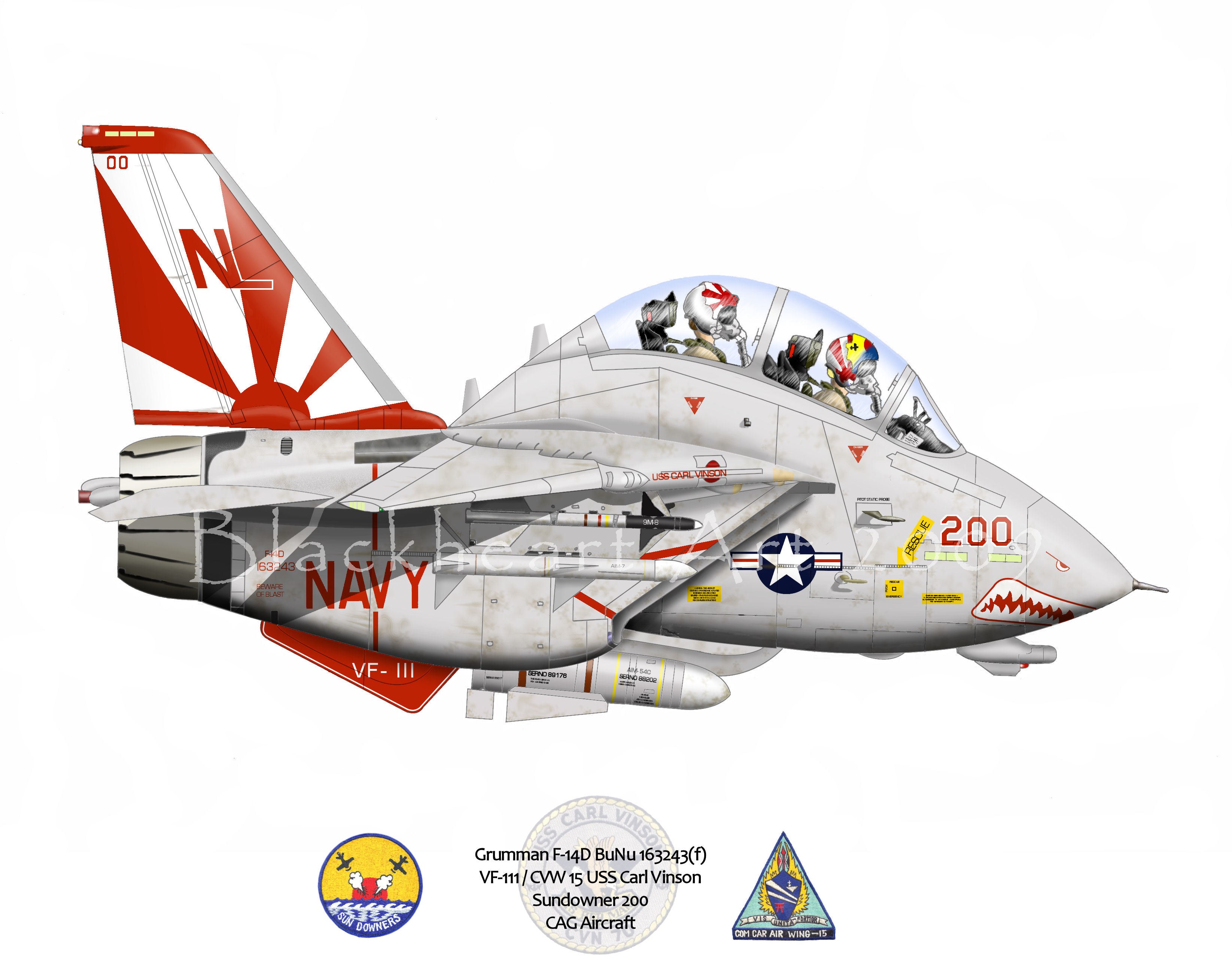 F-14D Tomcat aircraft artwork