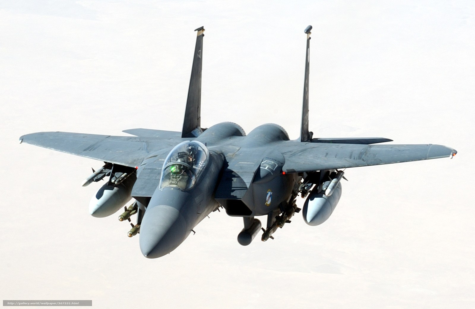 F-15 Eagle fighter jet in flight