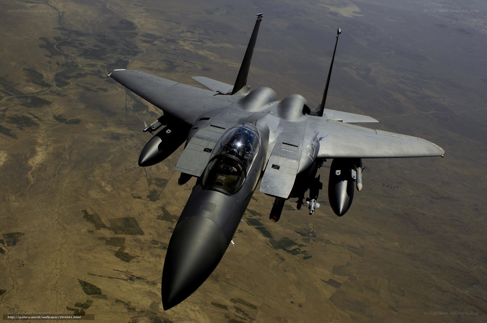F-15 Eagle in flight