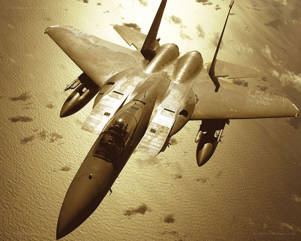 F-15 Eagle in flight